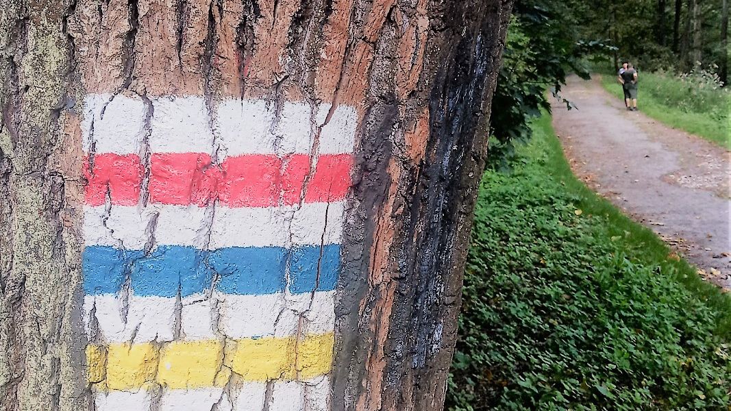 Kolory i oznaczenia szlaków