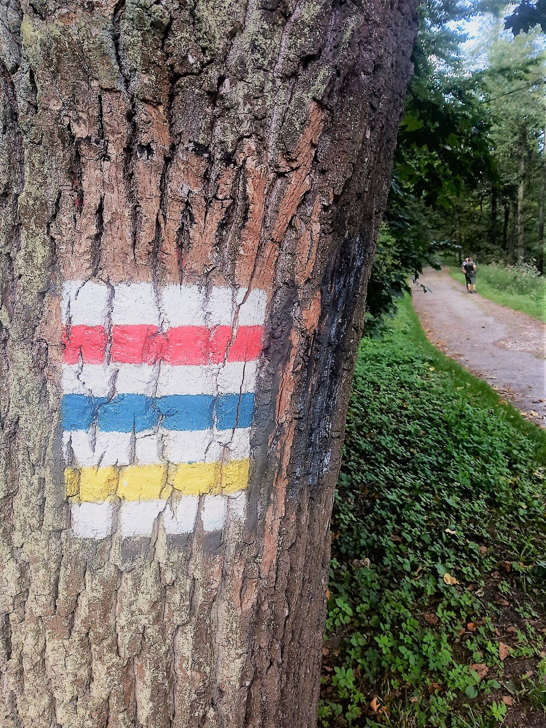 Kolory i oznaczenia szlaków turystycznych