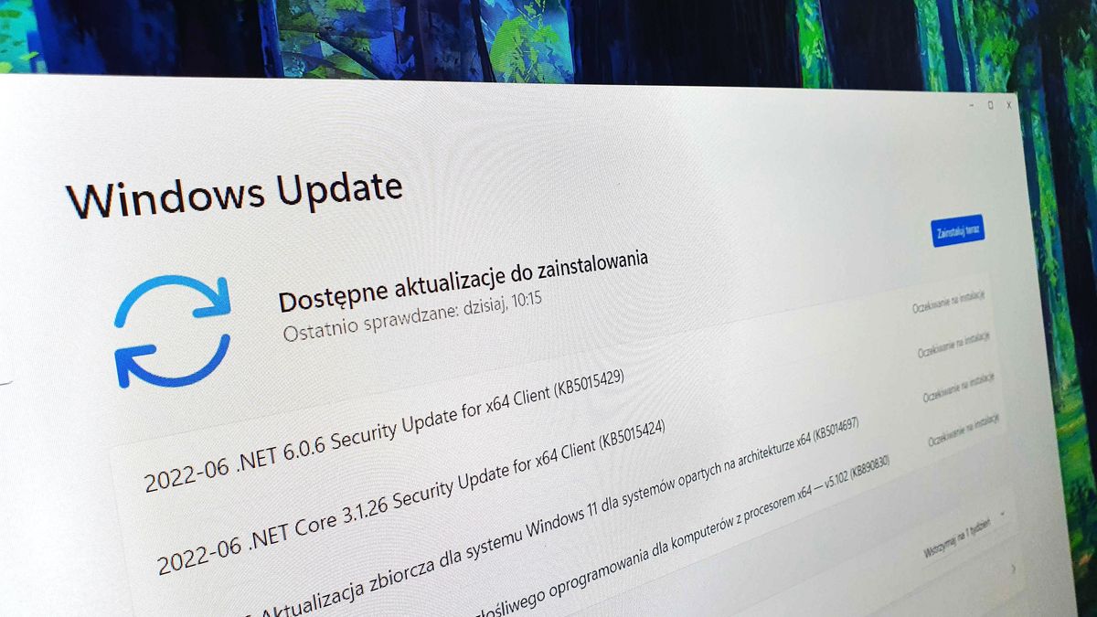 Windows Update w Windows 11