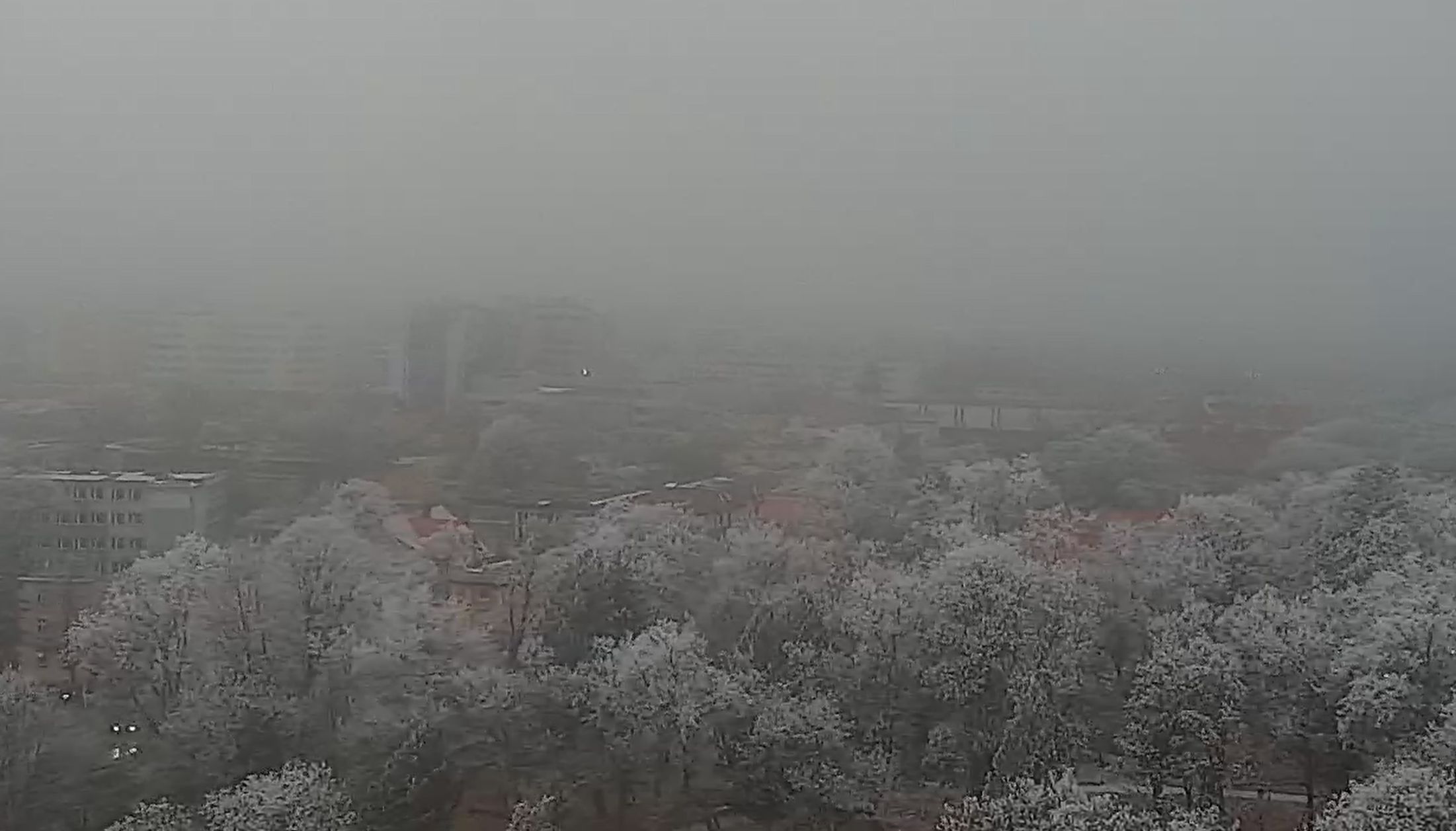 Taki widok przedstawia kamera internetowa w Zielonej Górze.