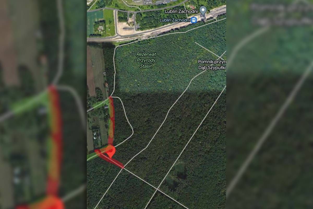 Podejrzany mężczyzna w Rezerwacie Przyrody Stasin w lesie Stary Gaj