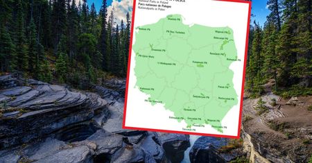Parki narodowe w Polsce. Sprawdź, ile o nich wiesz