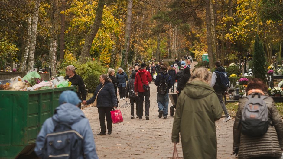 Niewybuch przy cmentarzu we Wrocławiu. Wezwano saperów. Zdj. poglądowe