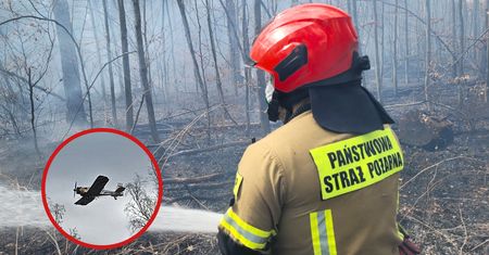 Pożar lasu pod Tucznem. Ogień objął hektary terenu