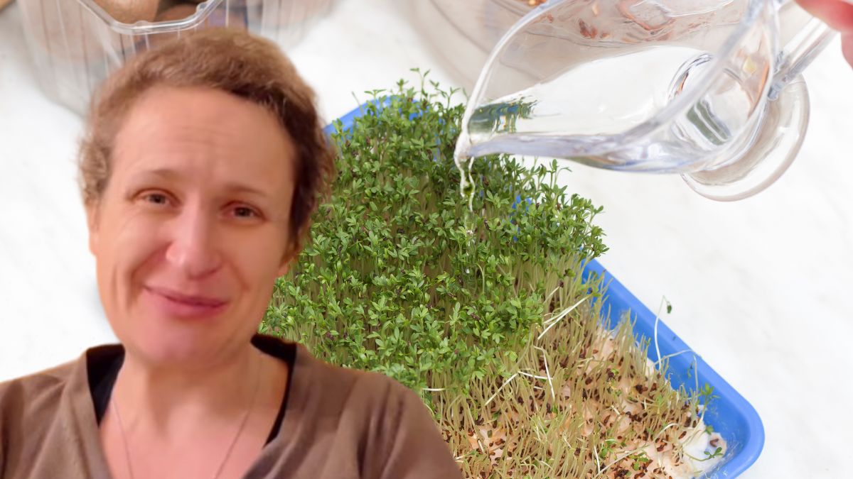 Lubisz rzeżuchę? Oto co robi z twoim organizmem, gdy ją jesz.