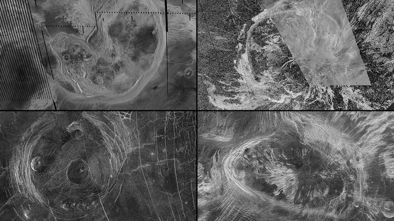 Neue Forschungen legen nahe, dass die riesigen Krater auf der Venus, genannt Koronas, weiterhin durch tektonische Prozesse geformt werden. Beobachtungen dieser Merkmale aus der Magellan-Mission der NASA umfassen, im Uhrzeigersinn von links, Artemis Corona, Quetzalpetlatl Corona, Bahet Corona und Fotla Corona.