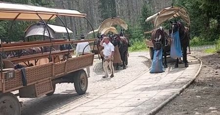 Pokazał nagranie z drogi do Morskiego Oka. Burza w sieci