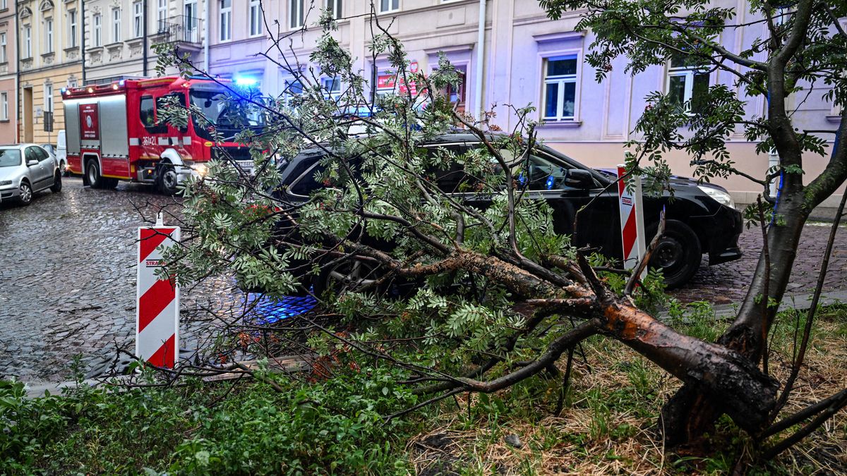 Przemyśl, 07.07.2025. Strażacy usuwają zniszczenia po burzy w Przemyślu, 7 bm. Instytut Meteorologii i Gospodarki Wodnej wydał ostrzeżenia I i II stopnia przed burzami z opadami deszczu i gradu oraz porywami wiatru. Alertami objęta jest zachodnia, południowo-wschodnia i południowa Polska. (jm) PAP/Darek Delmanowicz