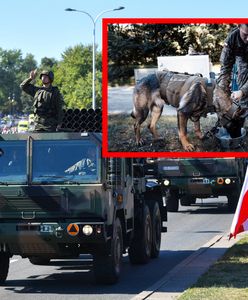 Szum wokół defilady. Poszło o psy