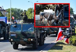 Szum wokół defilady. Poszło o psy