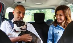 Uber Pets - przejazdy z myślą o zwierzętach