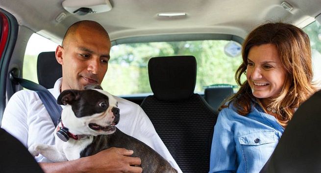 Uber Pets - przejazdy z myślą o zwierzętach