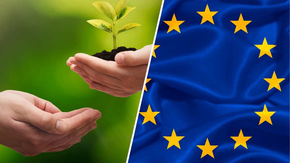 Co warto wiedzieć o Zielonym Ładzie?