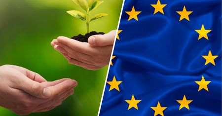 Europejski Zielony Ład i Fit For 55 - czym jest i na czym polega? Najważniejsze założenia, deklaracje i kontrowersje