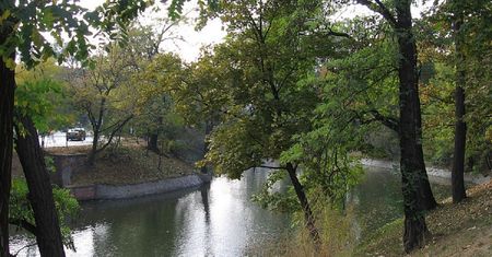 Uratowała tonącego we Wrocławiu. Tłum gapiów tylko nagrywał