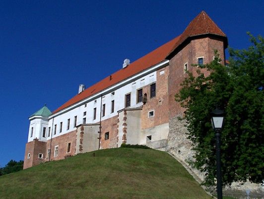 Obraz
