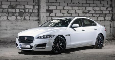 Jaguar XF (2015) 2.0 GTDi Prestige - zdjęcia