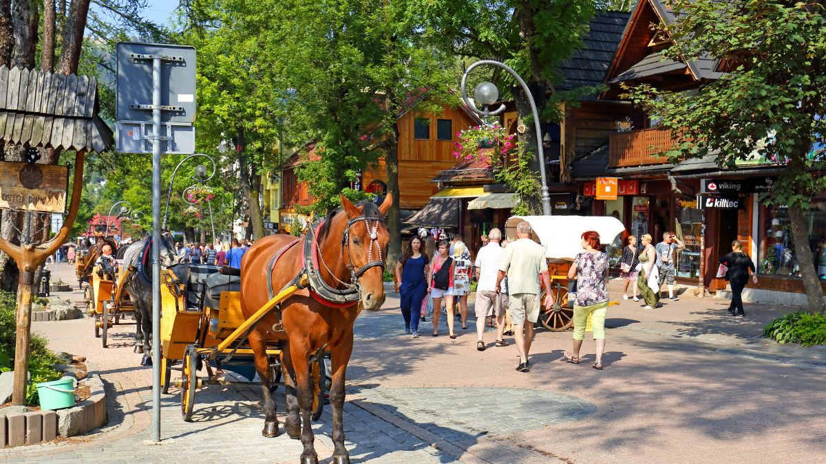 Zakopane (zdj. podgl.).