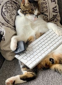 Sprawdziłem, ile czasu spędzam na Netflixie i teraz mam wyrzuty sumienia