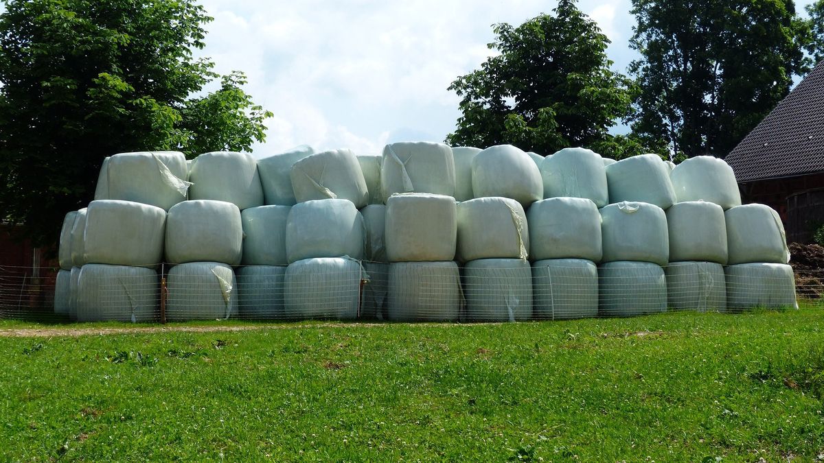  Kamil T. został prawomocnie skazany za kradzież sianokiszonki