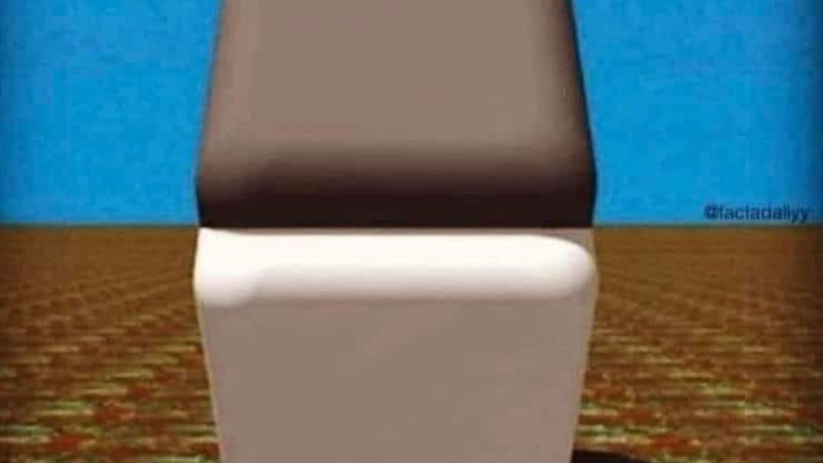 Iluzja optyczna podzieliła internautów.