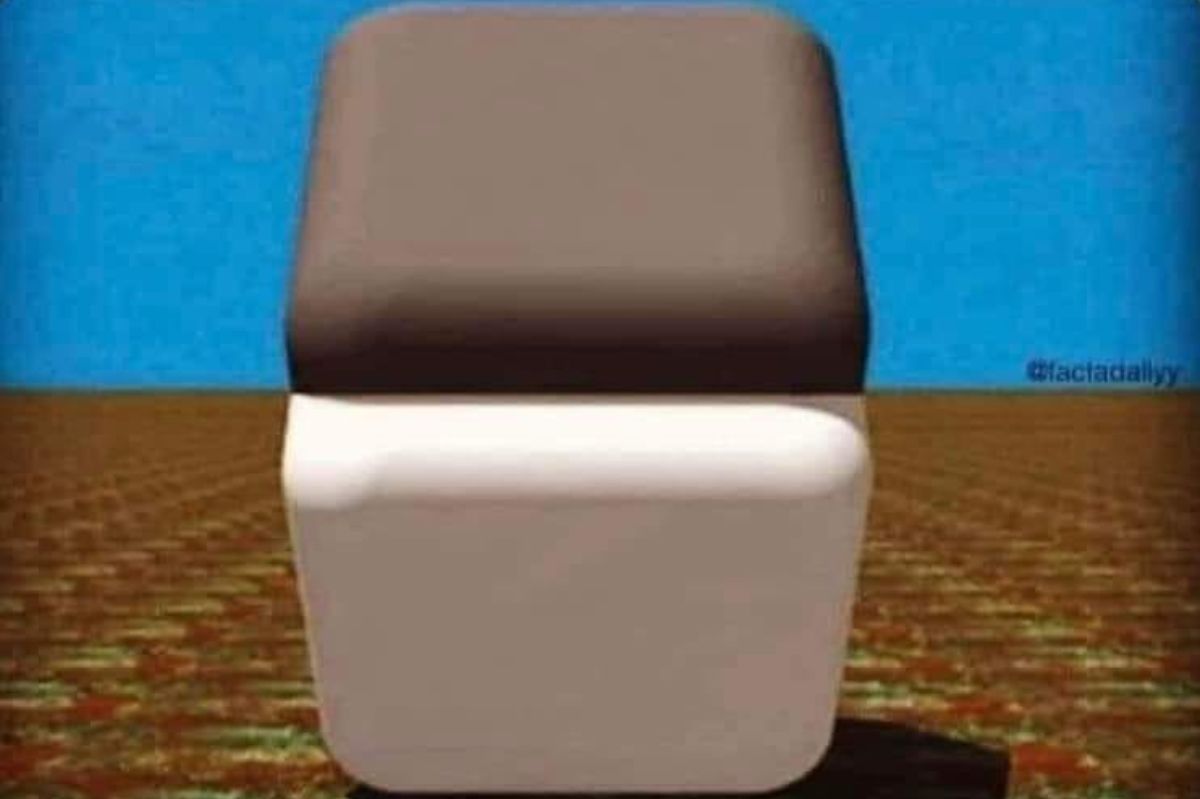 Internet torn over color of blocks in viral optical illusion: A matter of light and perception