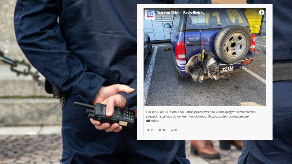 Taki widok zastały osoby, które przyszły zrobić zakupy w jednym z supermarketów