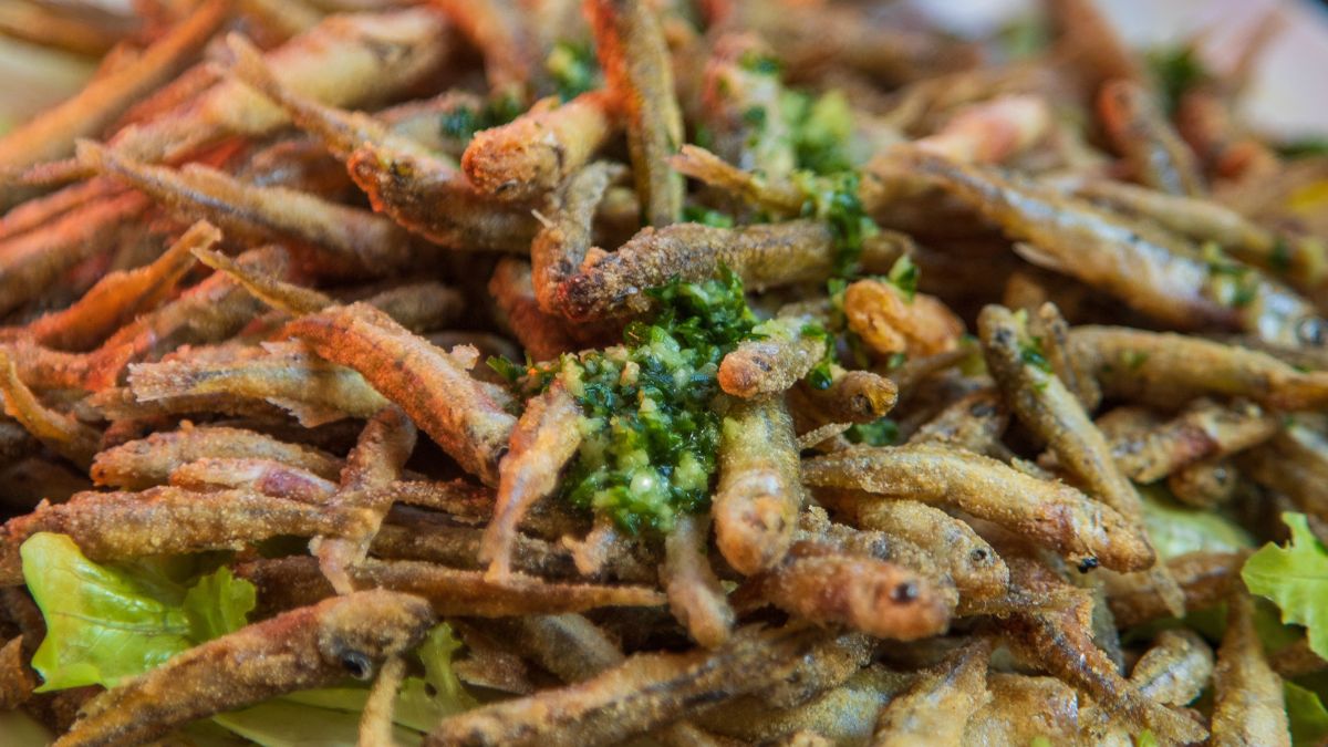 Stynki to przysmak znany na Podlasiu