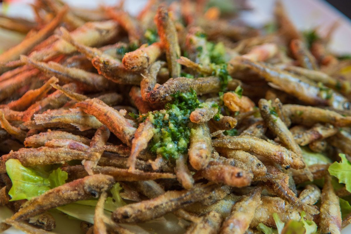 Stynki to przysmak znany na Podlasiu