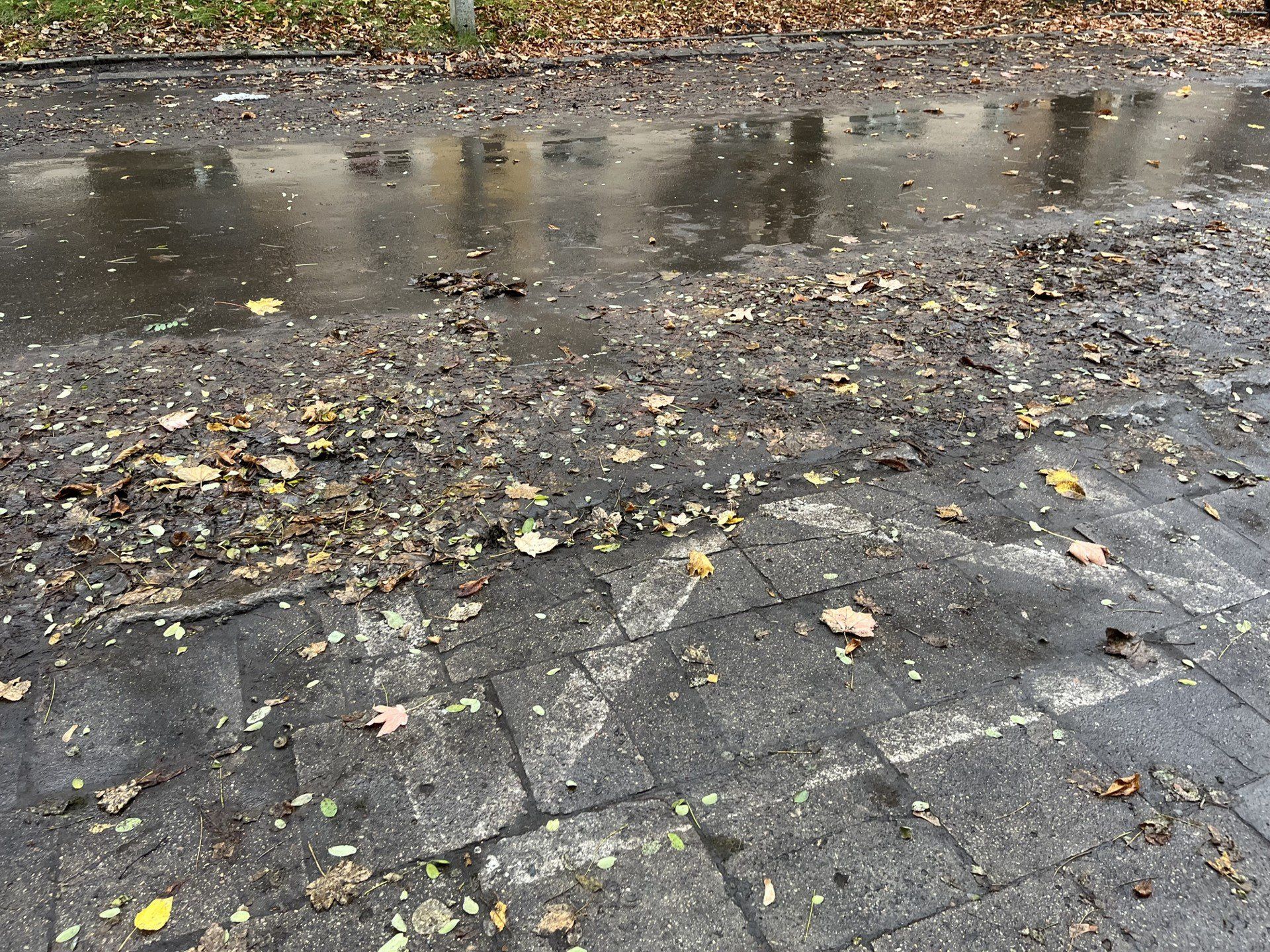 Osiedle Nowe Rokicie przy ul. Komfortowej