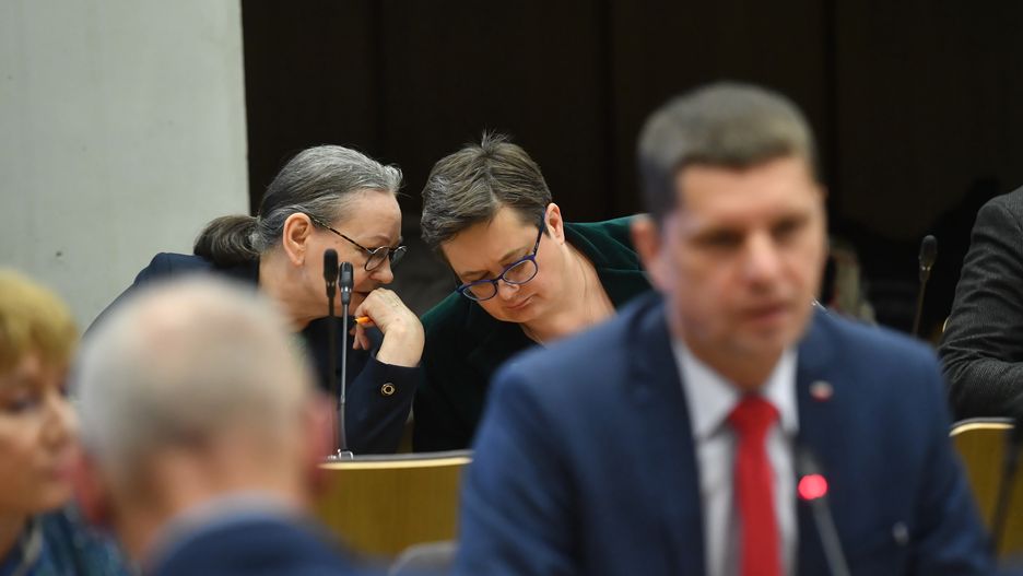 Katarzyna Lubnauer podczas posiedzenia ENM.