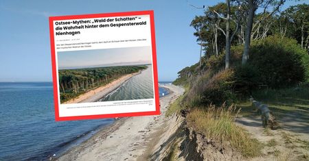 "Las Duchów" nad Bałtykiem. Niemcy jednogłośnie: upiorne miejsce