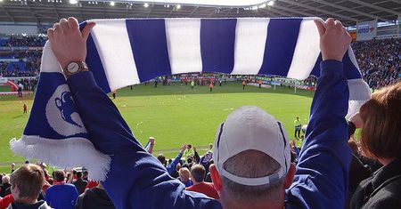 Skaner: sport w Internecie, najlepsze reklamy plażowe, niezwykła pamięć psów