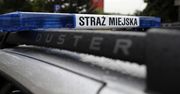 Kraków: Amstaff pogryzł kobietę. Właściciel psa próbował uciec