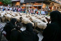 Arabowie narzekają już pierwszego dnia. Oto co im przeszkadza w górach