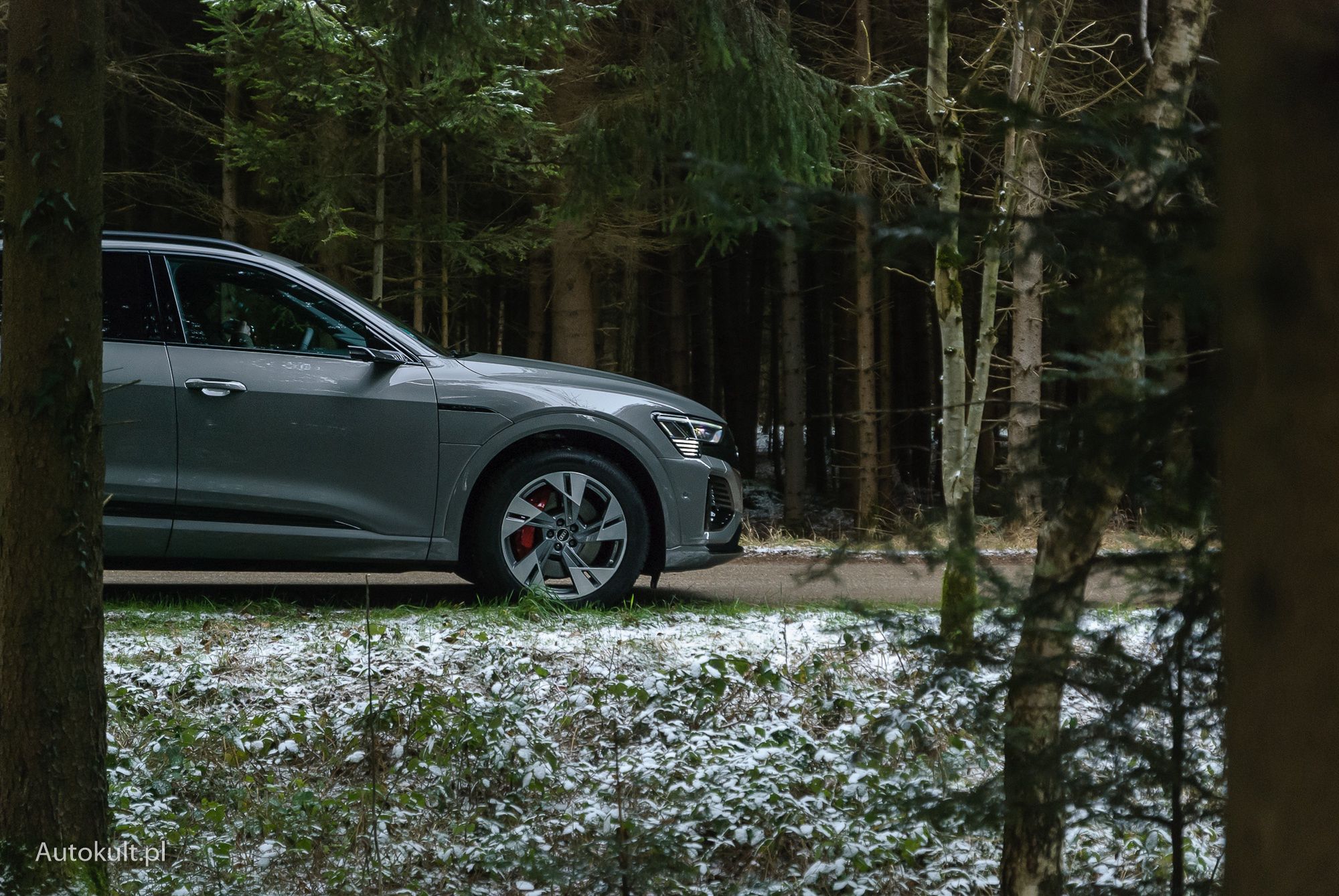 Audi Q8 e-tron
