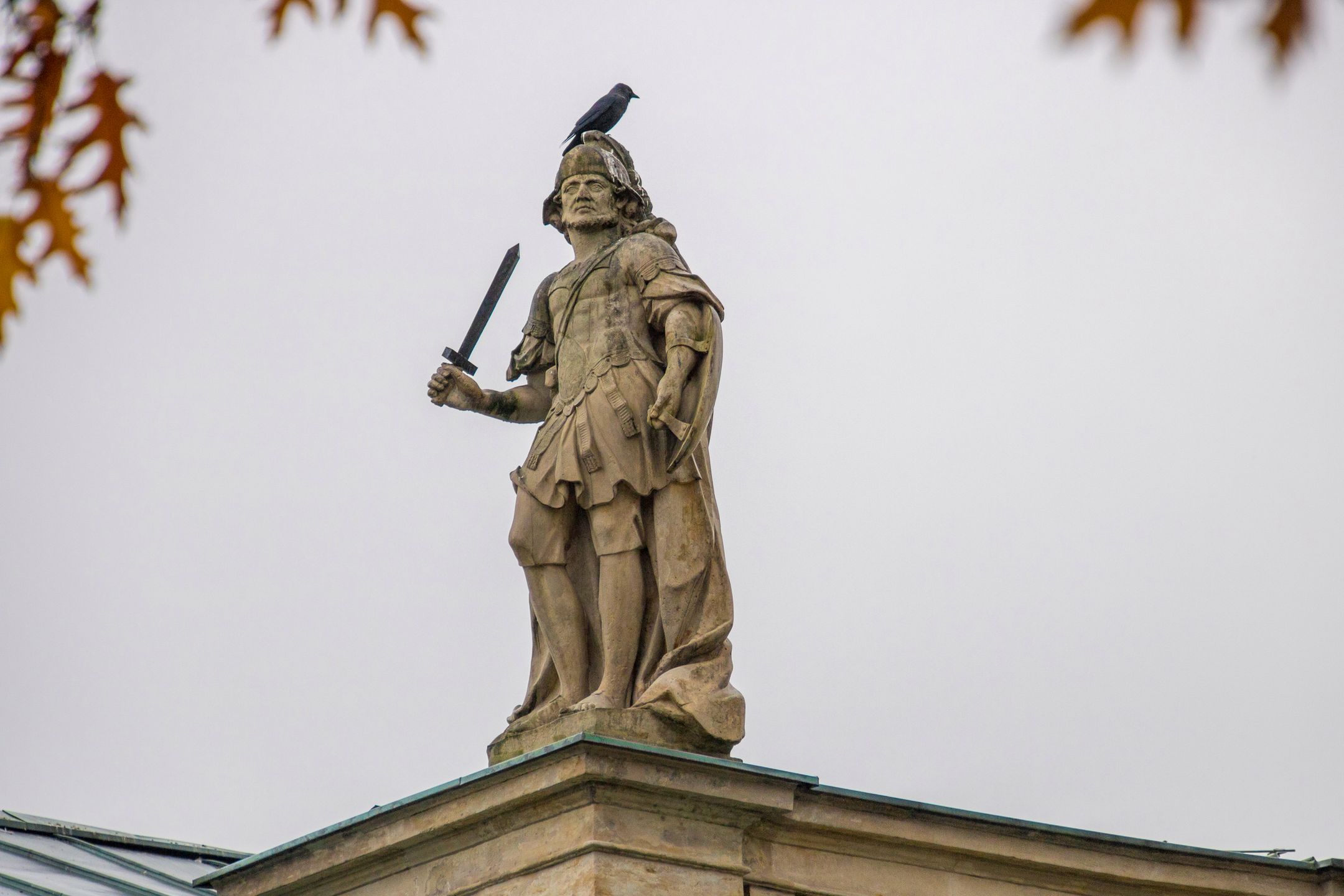 Jasne obiektywy nie zawsze są super. Zalety i wady jasnych i ciemnych szkieł 15