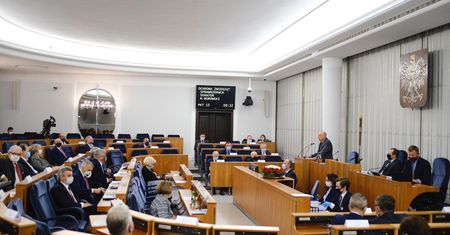 "Piątka dla zwierząt". Senat debatuje nad nowelizacją ustawy