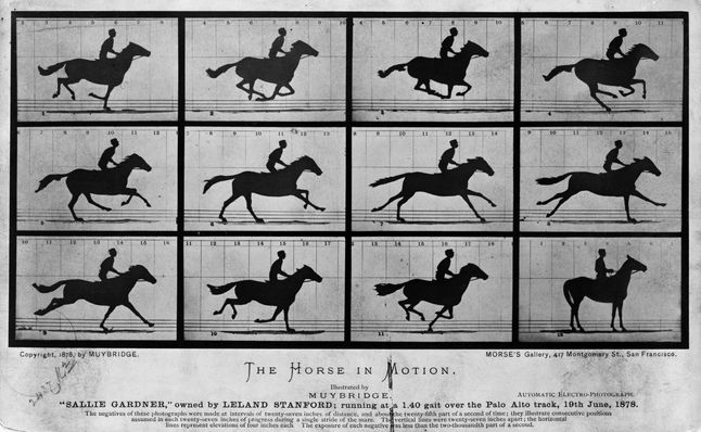Seria zdjęć galopującego konia. Można połączyć je w płynną animację