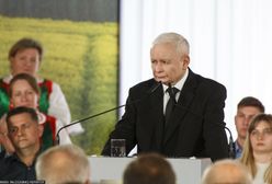 PiS w pułapce Zielonego Ładu. Konfederacja wyczuła "polityczne złoto"