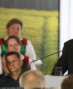 PiS w pułapce Zielonego Ładu. Konfederacja wyczuła "polityczne złoto"