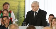 PiS w pułapce Zielonego Ładu. Konfederacja wyczuła "polityczne złoto"