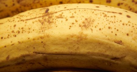Nie pomijaj tej czynności przed obraniem bananów. Skutki mogą być bardzo przykre