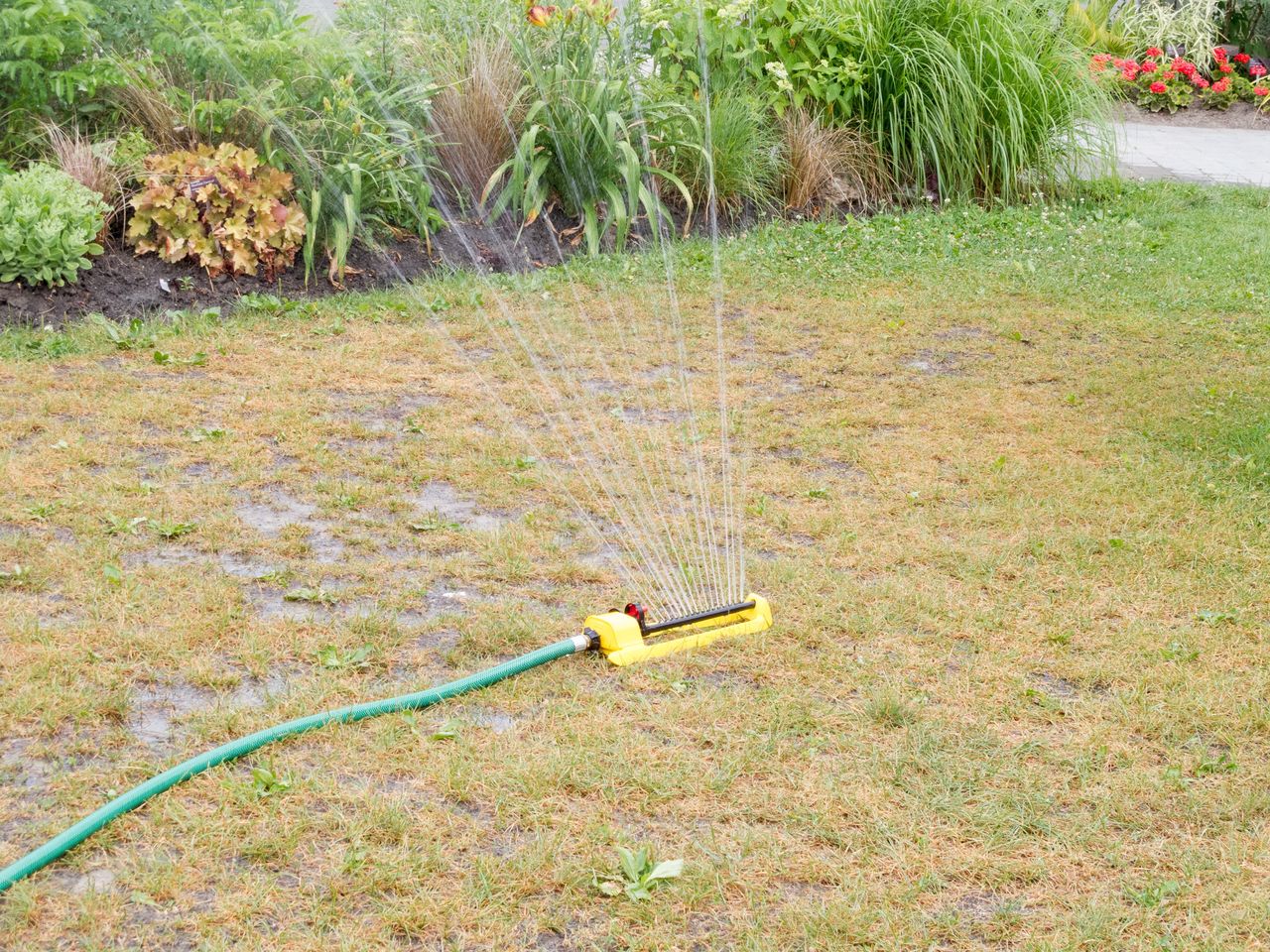 W czasie suszy podlewanie ogrodu wodą z kranu może być zabronione