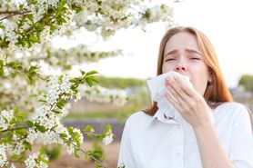 Alergia na pyłki - co pyli w kwietniu?
