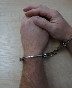 Sosnowiec. Przed więzieniem uciekł do Niemiec, nie uniknie kary