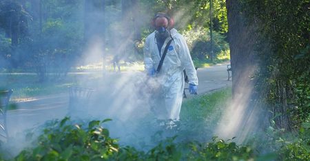 Plaga komarów w Lublinie. Rusza pierwsze w tym roku odkomarzanie. Gdzie i kiedy opryski? Harmonogram