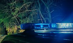 Zostawił Niemkę nocą w lesie. Interweniowała policja