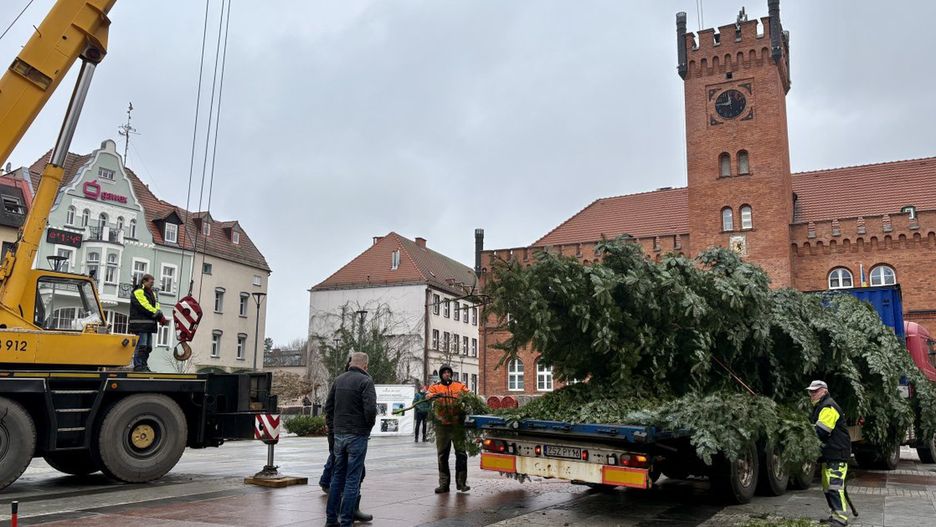 fot. iszczecinek.pl / Wielka choinka z Drawienia już zdobi plac Wolności w Szczecinku – święta coraz bliżej.