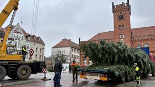Szczecinek: Wielka choinka już na placu Wolności. Święta coraz bliżej